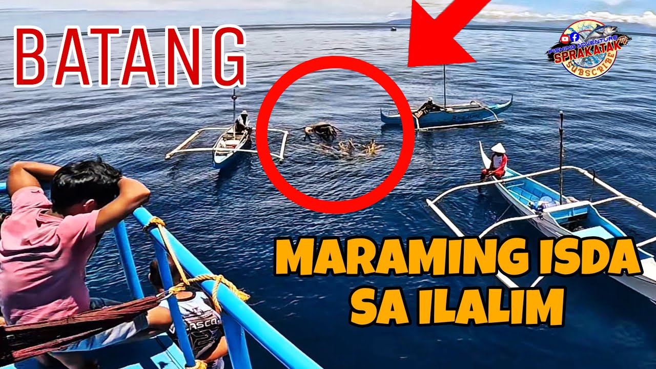 MAY BATANG NA PA LUTANG-LUTANG SA DAGAT NA MAY MARAMING SILONG NA ISDA