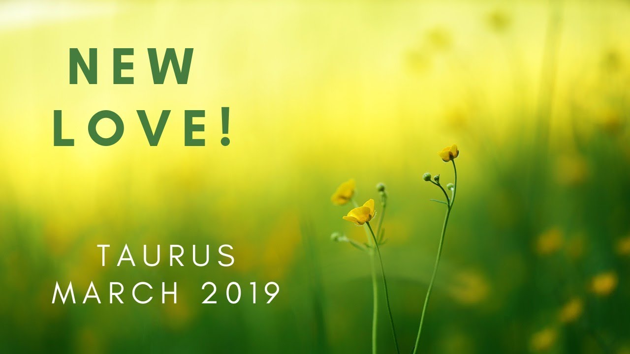 TAURUS: New love! March 2019