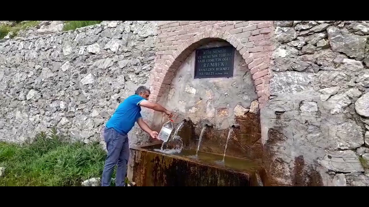 senir yaylası (ayı otu) gündoğmuş