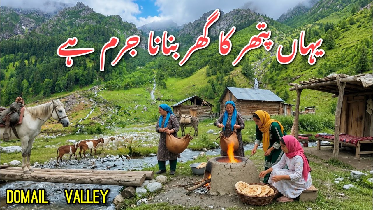 Life in a Remote Wooden Village of Pakistan | Dumeil Valley | Gultari Series Ep. 4