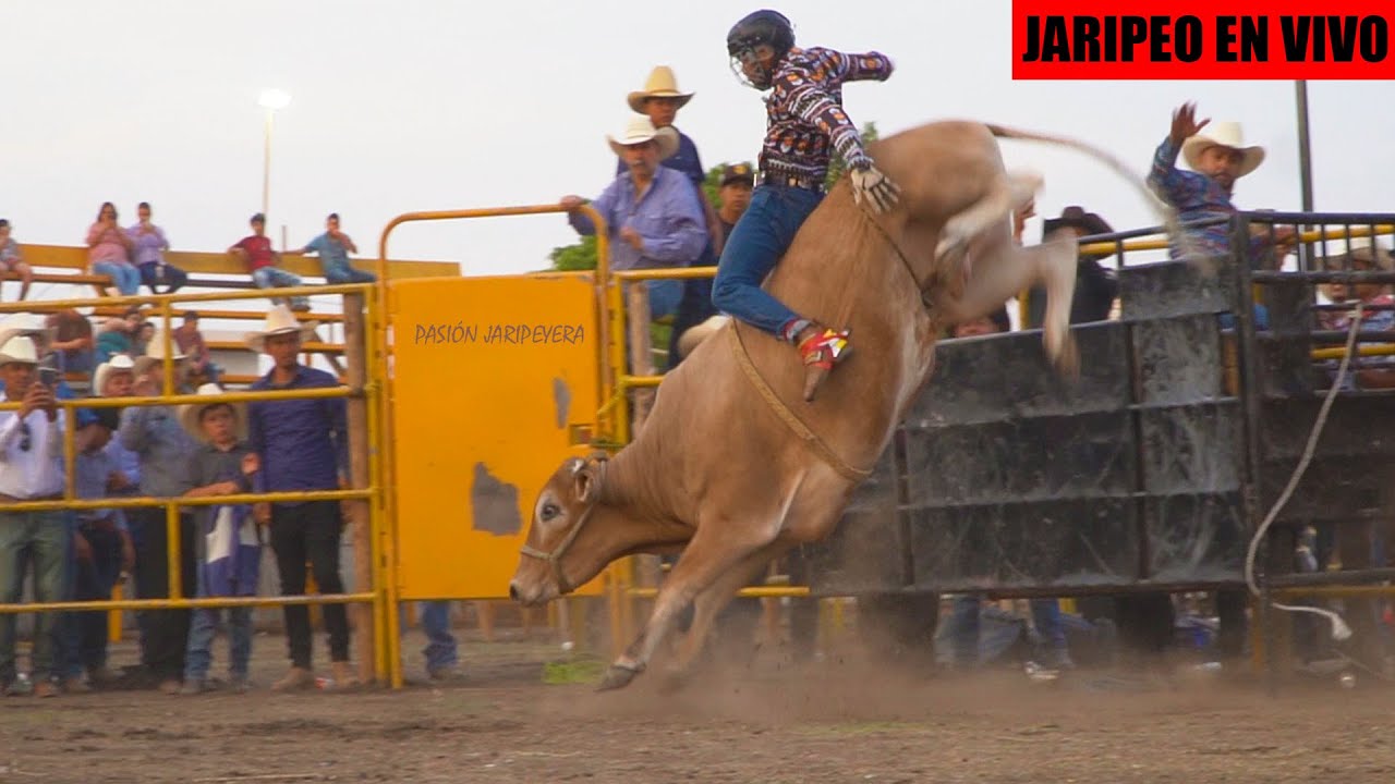 🔴 15 Toros de RANCHO EL GUAMUCHIL en Vivo 🔴 Huitzuco Guerrero 6 Abril 2024 | Jaripeo Completo