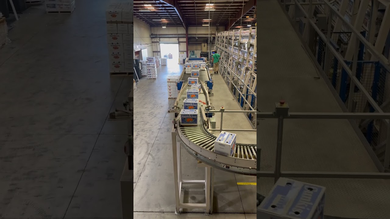 PTI's High-Speed Pallet Layer Forming Conveyor in Action!