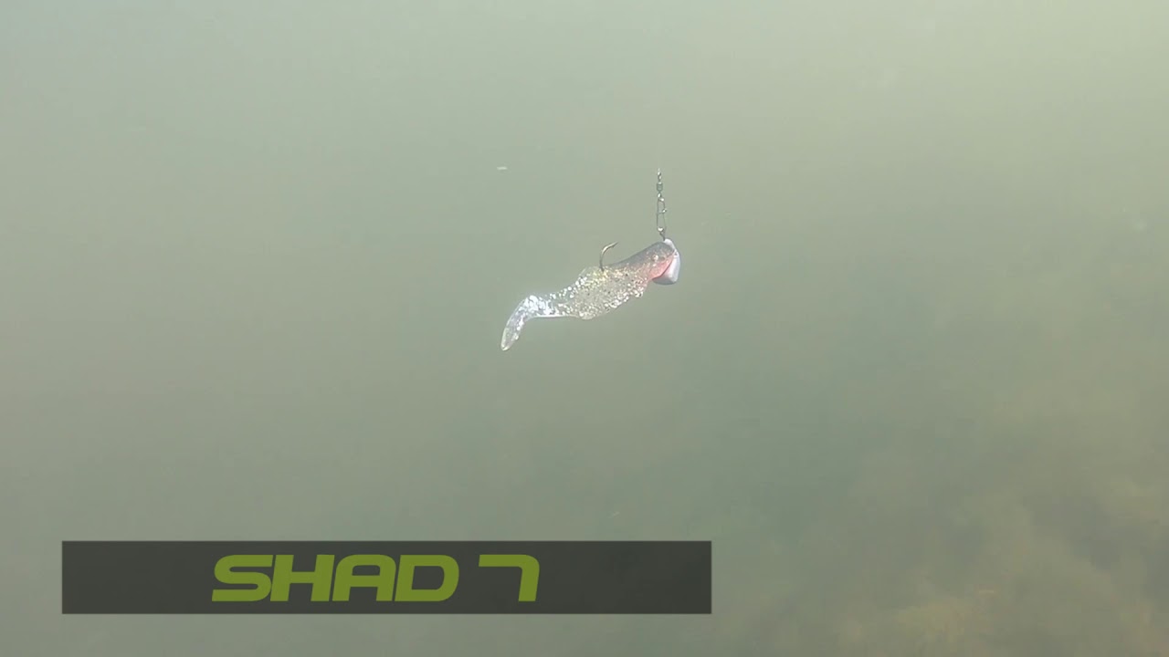 ORKA SHAD 7