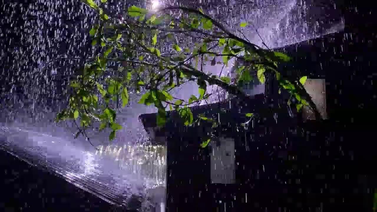 Rain Sounds White Noise – Heavy Rain on Tin Roof
