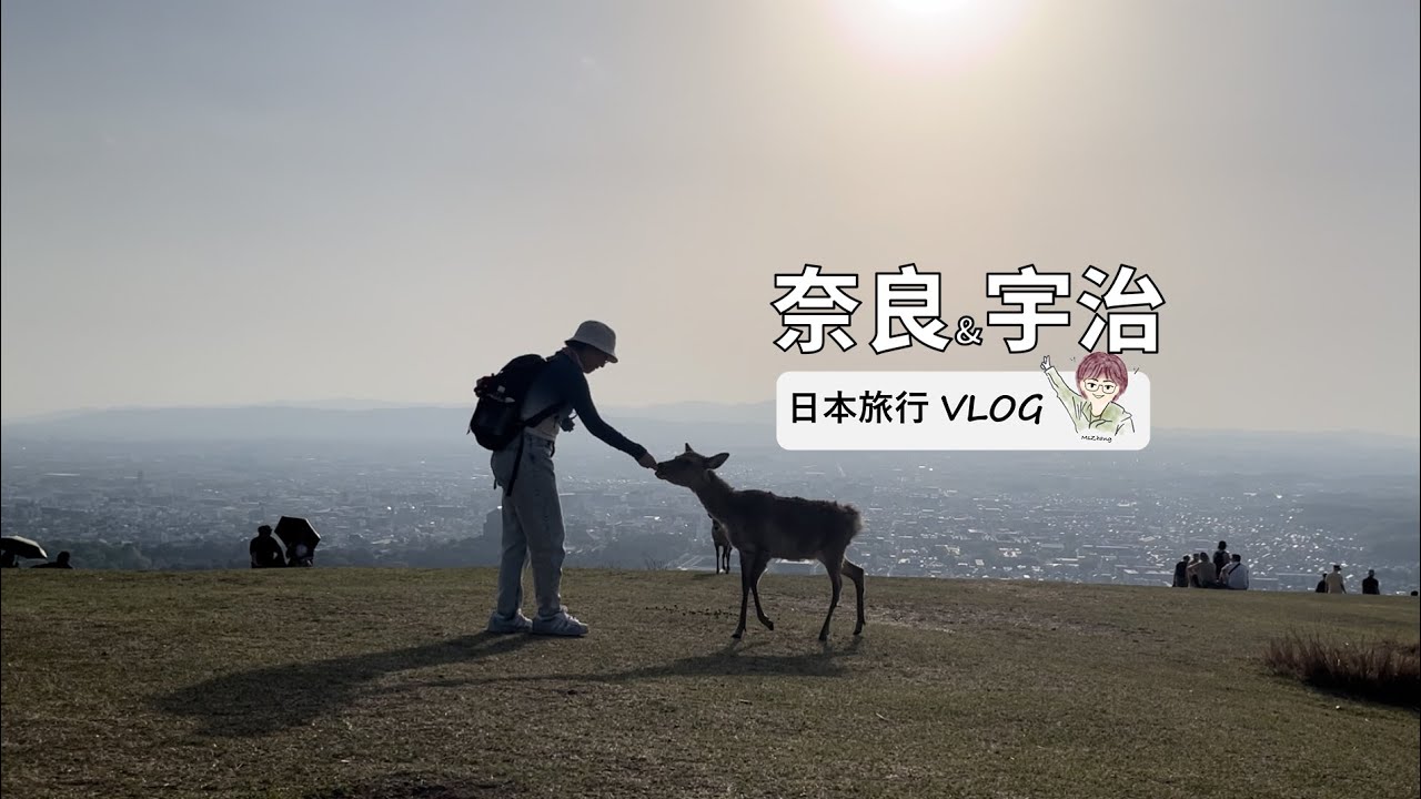 【日本关西独行】奈良&宇治 | 吃拉面、唐招提寺、若草山看日落、春日大社、宇治川、抹茶体验