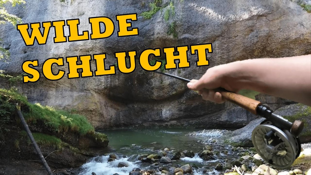 Forellen-Doppelschlag im letzten Pool! - Bergbach Folge 1