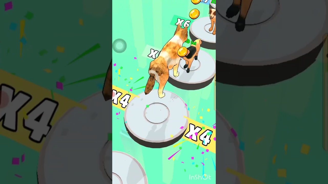doggy style in run game play #dog #shorts