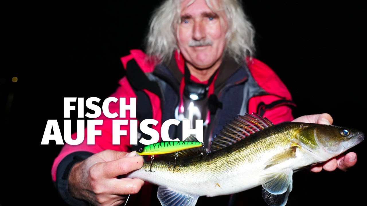 NACHTS l&auml;uft WIE HUPE - Mit  WOBBLER auf  ZANDER - Fang mal was  (55)