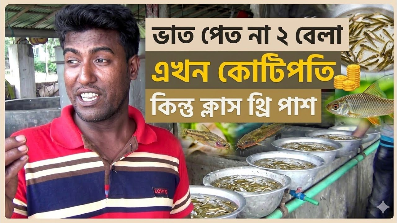 অভাবে কারণে লেখাপড়া বন্ধ মাছের ডিম ও রেনু পোনা বিক্রি করে কোটিপতি নওগাঁর চঞ্চল মাছের হ্যাচারি তৈরি
