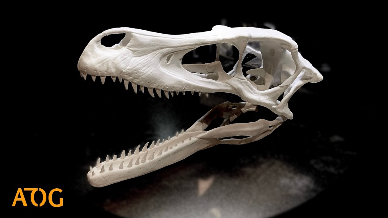 I 3D Printed A Full Size Velociraptor Skeleton