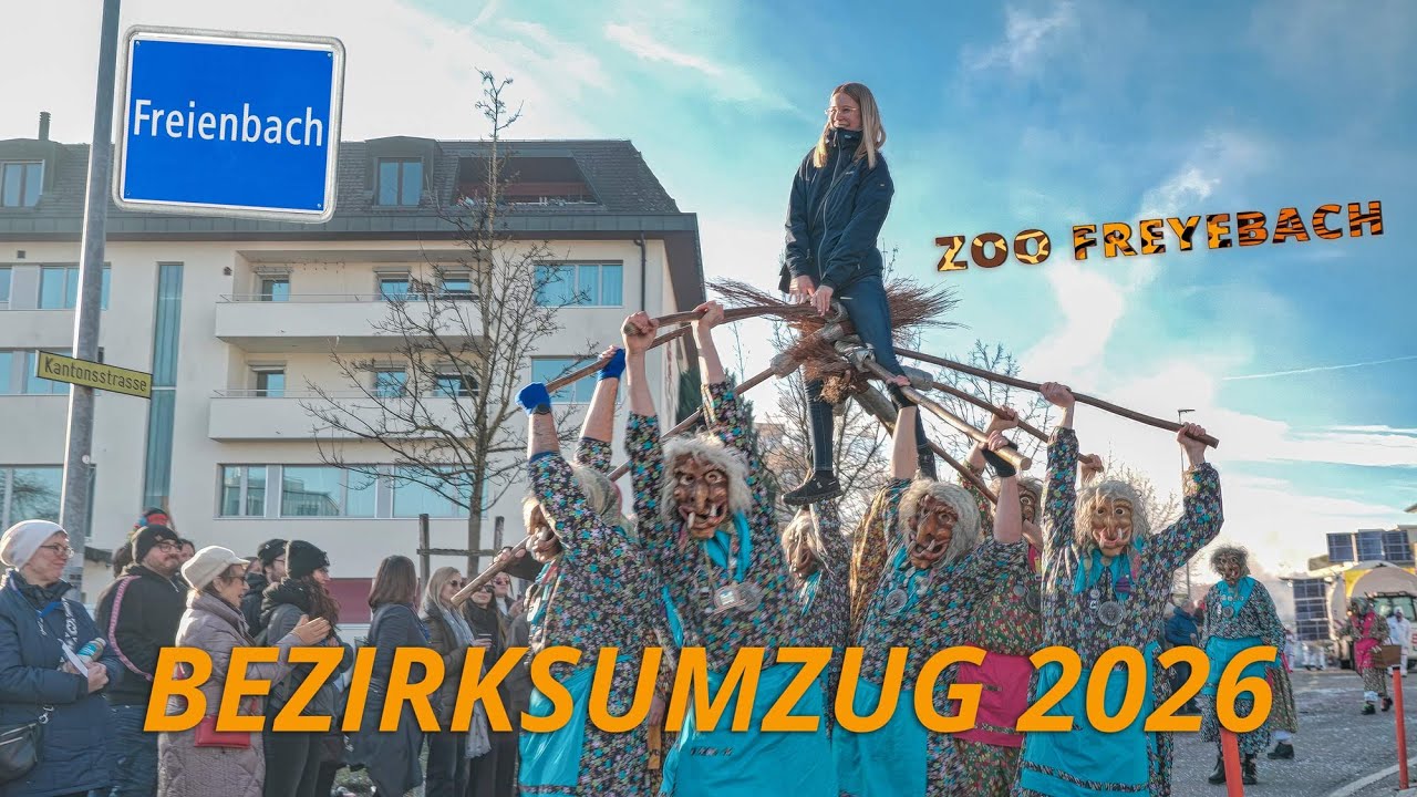 🦁 BEZIRKSUMZUG FREIENBACH 2026 | Das grosse Best-of vom Sonntag (Motto: ZOO) 🎭