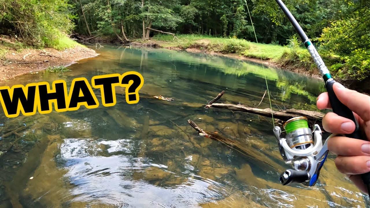 This Creek Has Me Confused