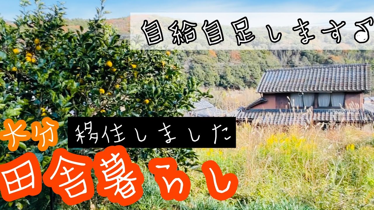 【田舎暮らし】大分へ移住しました♪本格的な自給自足に向けて079