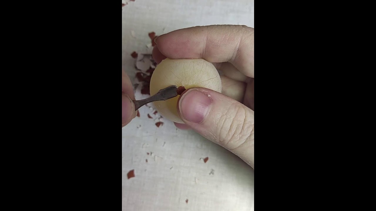 🇧🇾 Скорлупа's Live broadcast