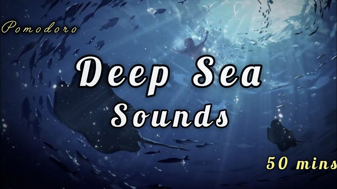 Deep Sea sounds 🌊 | 50 min pomodoro | study with me 