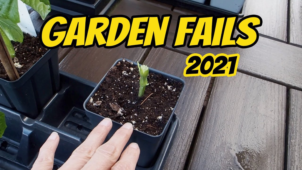2021 Garden Fails