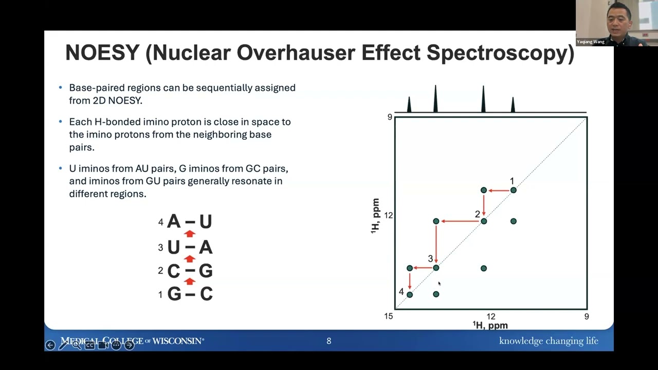 Isotope Days 2025-NMR with Yaqiang Wang, PhD