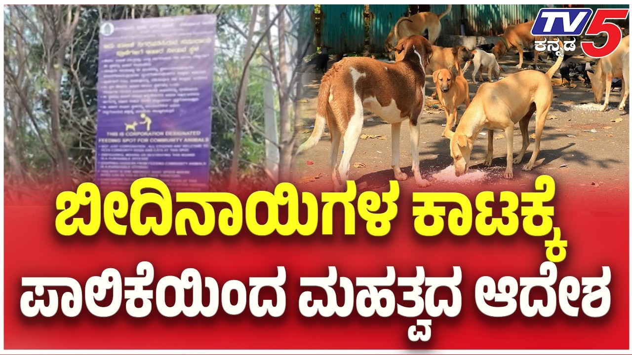 ಬೀದಿನಾಯಿಗಳ ಕಾಟಕ್ಕೆ ಪಾಲಿಕೆಯಿಂದ ಮಹತ್ವದ ಆದೇಶ | Bengaluru Restricts Stray Dog Feeding 90 Spots