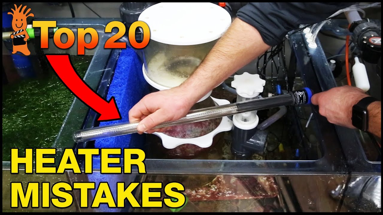 Is your aquarium heater a ticking time bomb?! Catch these Top Heater Mistakes before they happen.