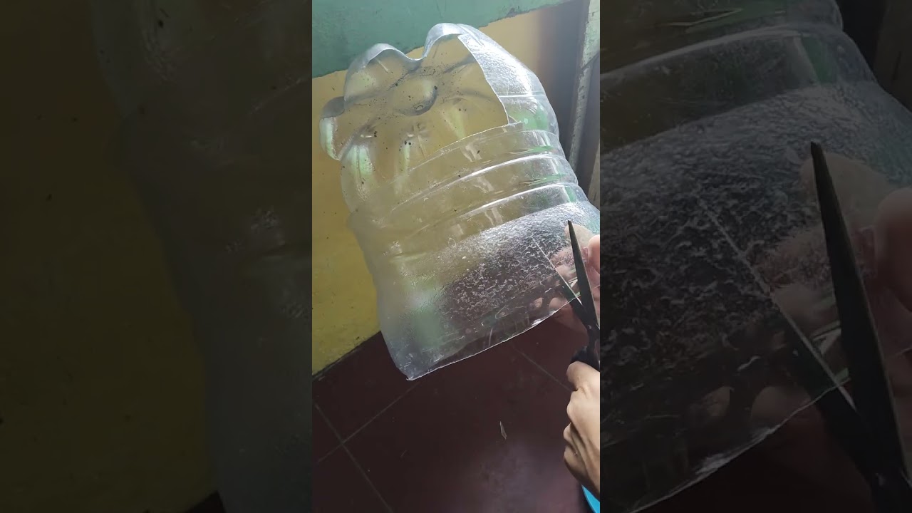 DIY  dispenser kucing  dengan galon bekas