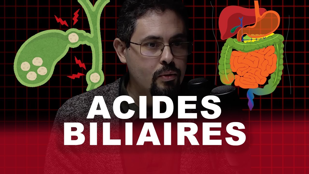 Comprendre les Acides Biliaires