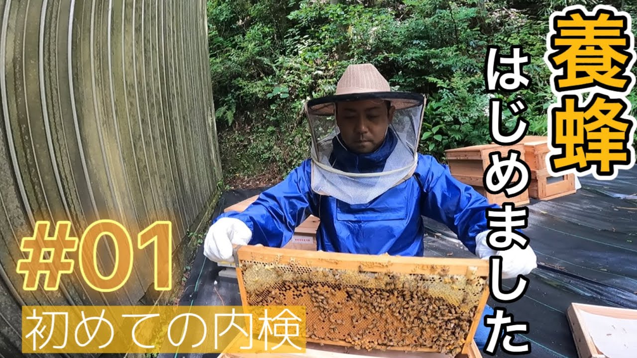 【蜂蜜ができるまで①】いきなりトラブル！？養蜂はじめました🐝