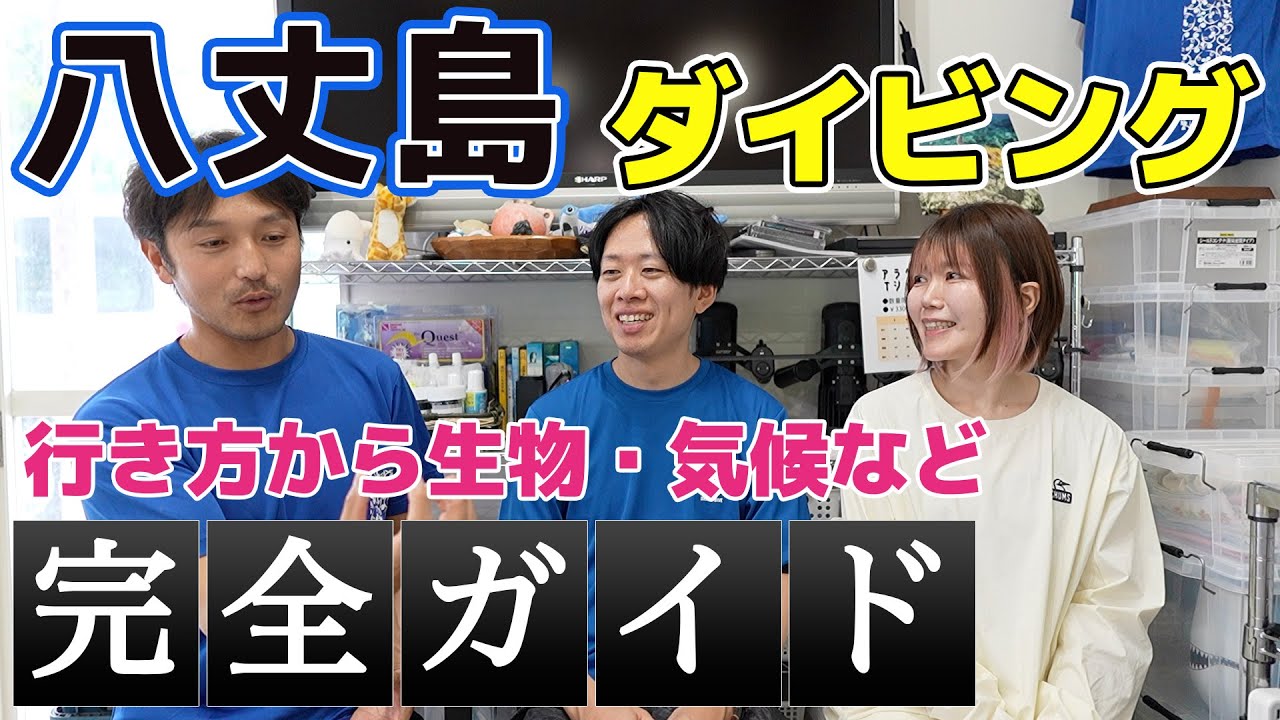 【初めての八丈島】八丈島ダイビング完全ガイド　これから八丈島に来る方必見