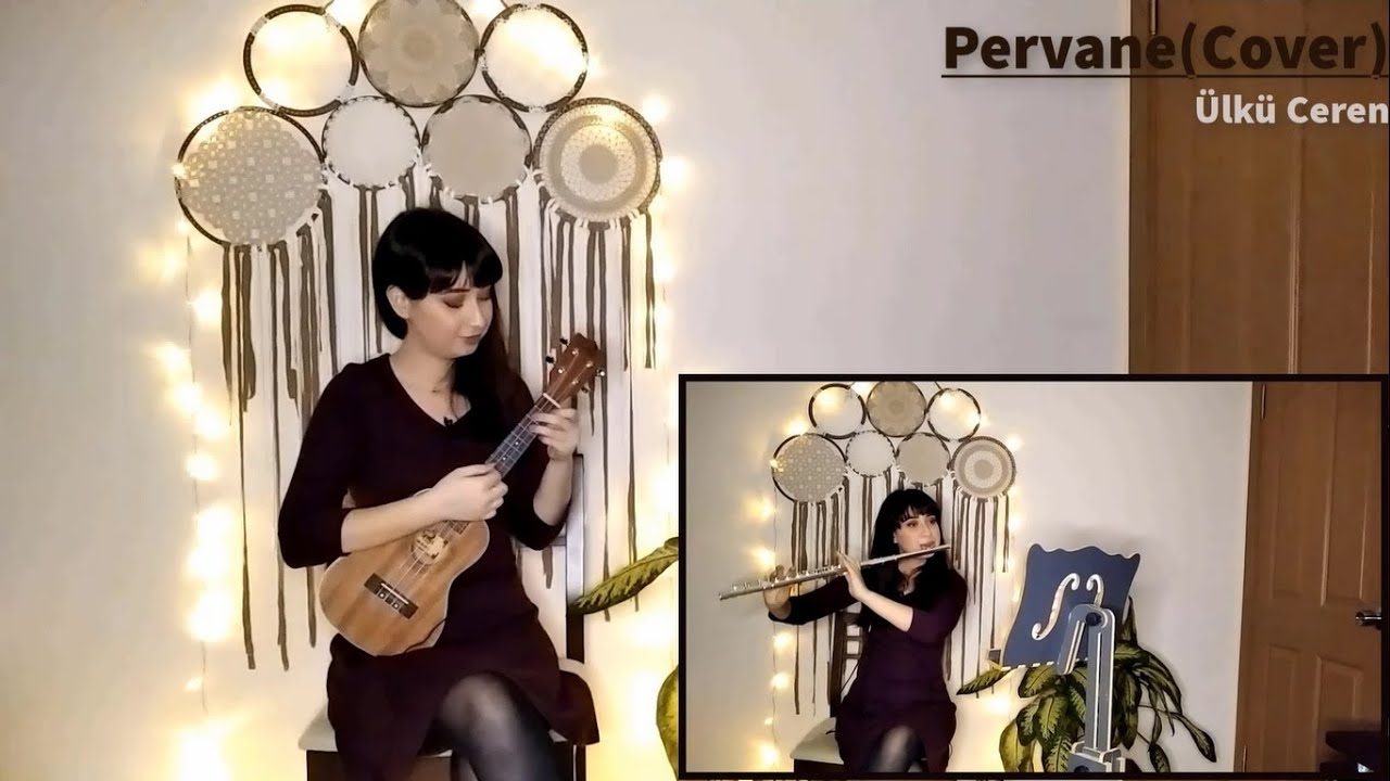 Pervane - Özdemir Erdoğan (Ukulele - Yan Flüt Cover)