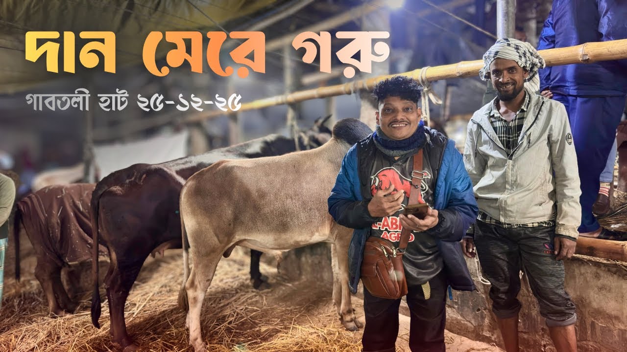 গাবতলী হাটে আকরাম ভাইয়ের দান শুরু! ৩ গরু কেনা, মিস ফিল্ডিংও হলো | Gabtoli Cattle Haat