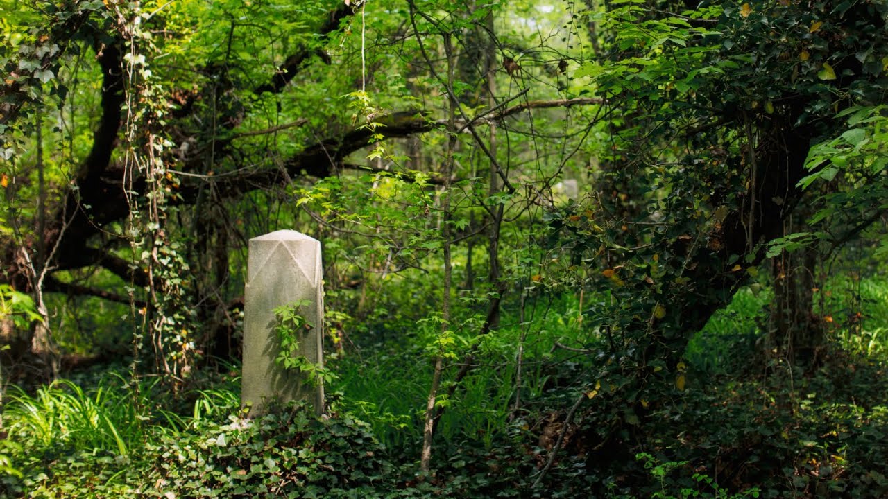 Conversation | Making the Ground Talk: Documenting Black Cemeteries with Brian Palmer