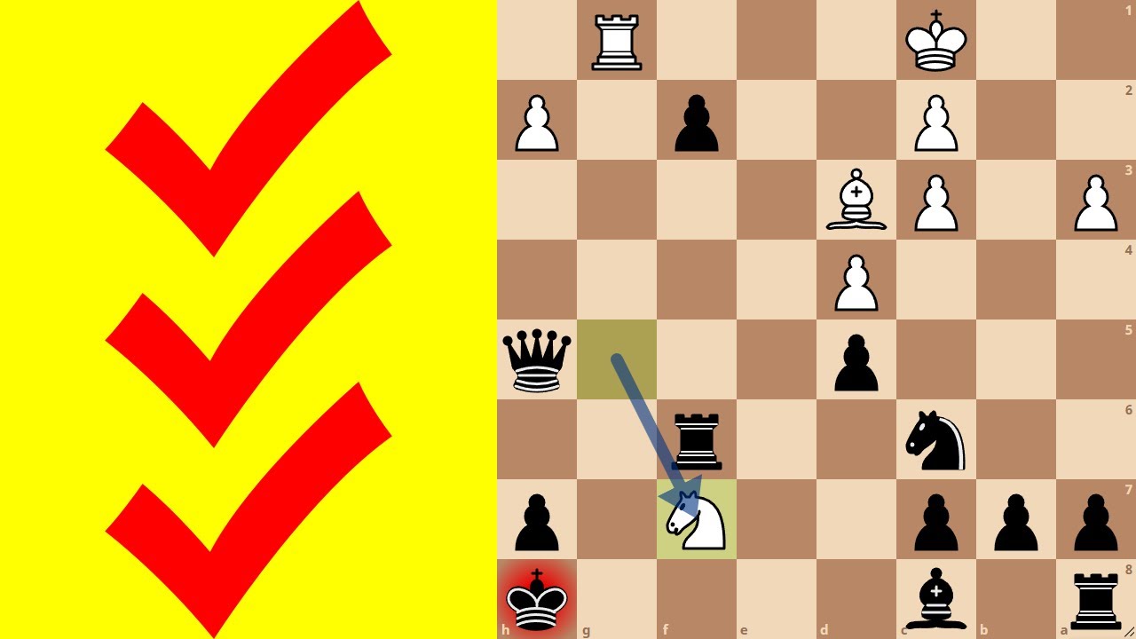 Three-Check Bullet Arena [261]