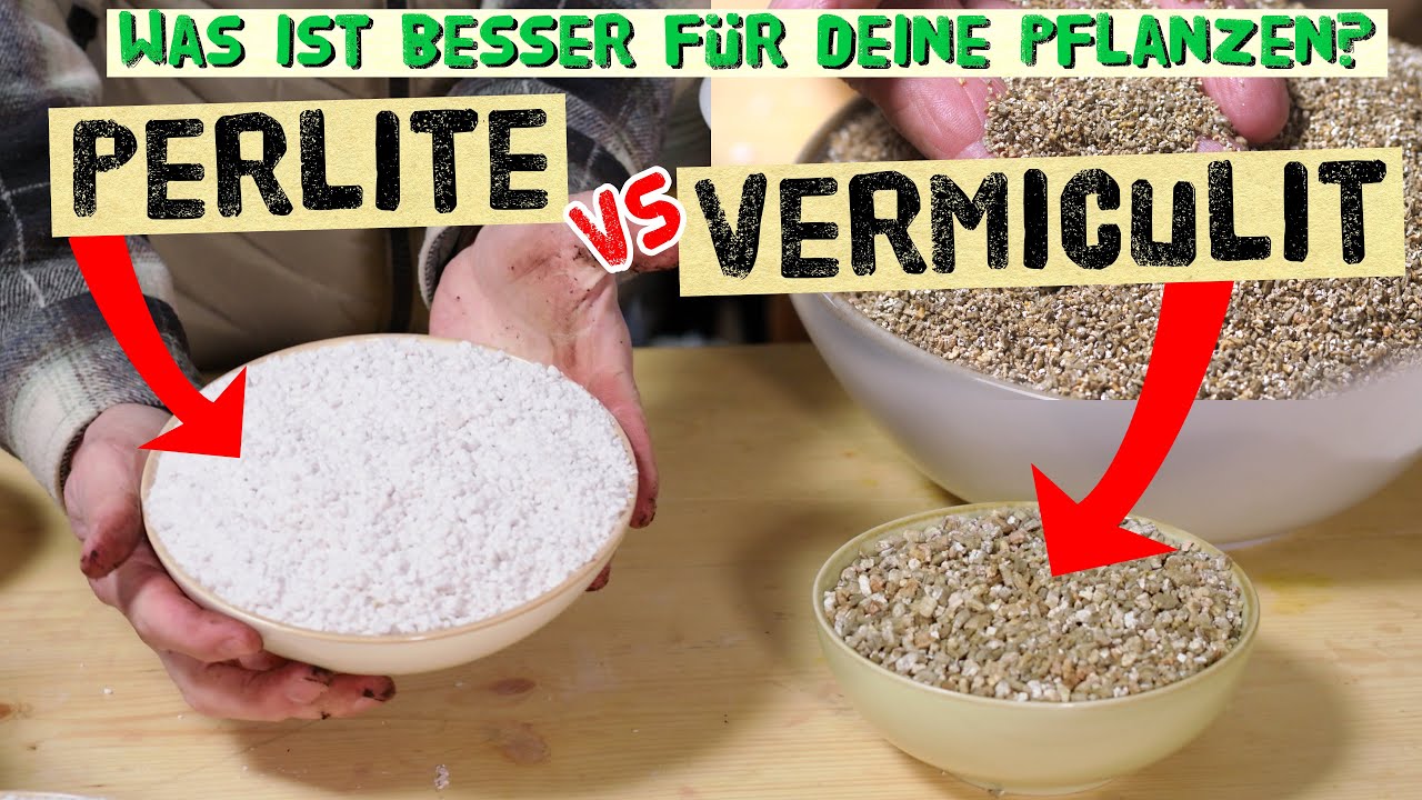 Wann verwendet man Vermiculit und wann Perlite? Unterschiede, Einsatz und Anwendungen im Garten