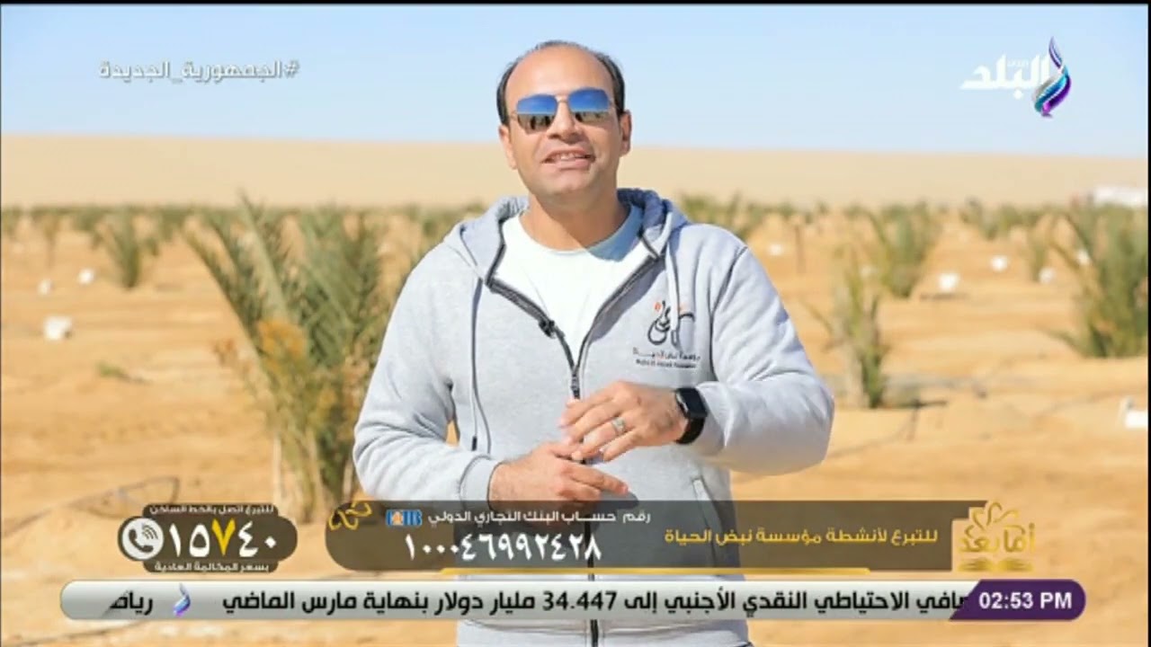 جهود مؤسسة نبض الحياة الخيرية في وقف النخيل