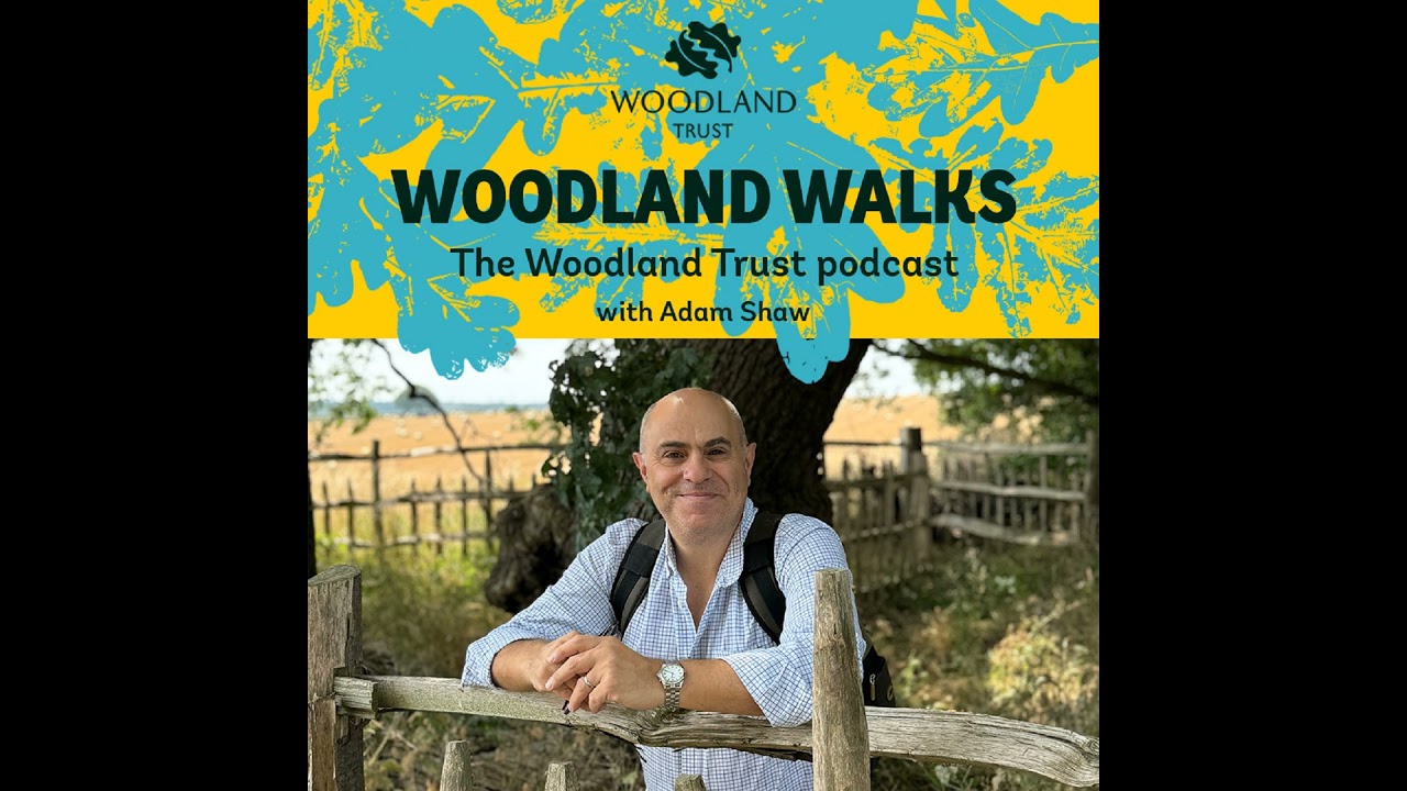 10. A Notting Hill woodland garden with Danny Clarke