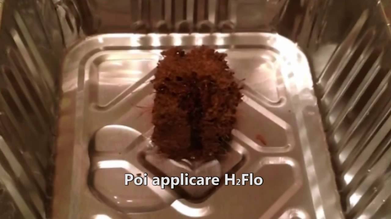 Effetto di H2Flo sul terreno