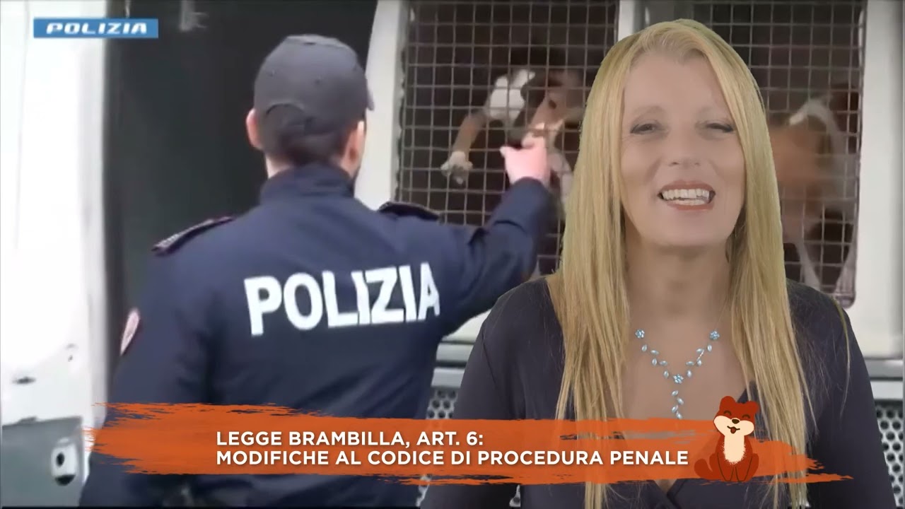 FINALMENTE GIUSTIZIA: LA LEGGE BRAMBILLA APPLICA IL CODICE ANTIMAFIA A CHI SFRUTTA GLI ANIMALI