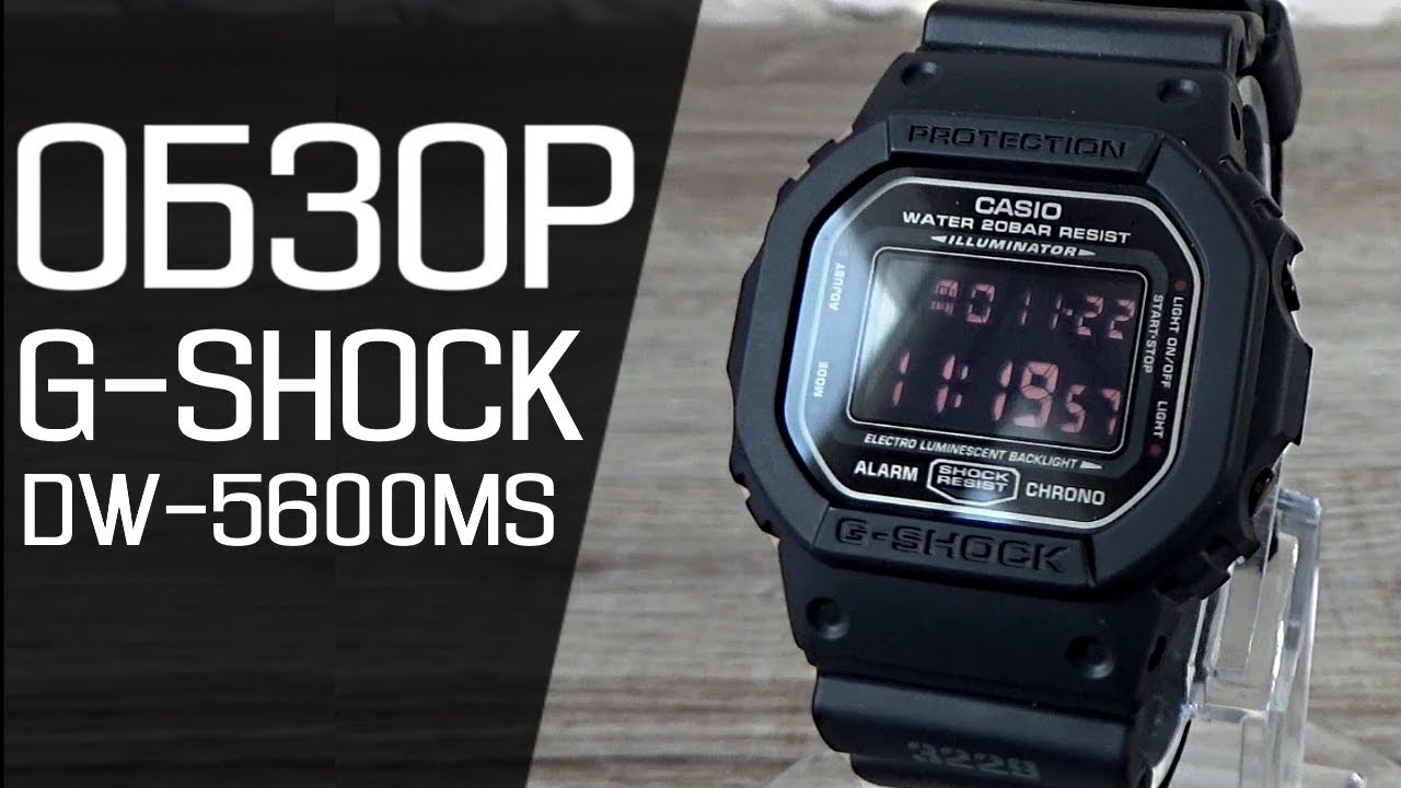 Обзор CASIO G-SHOCK DW-5600MS-1D | Где купить со скидкой