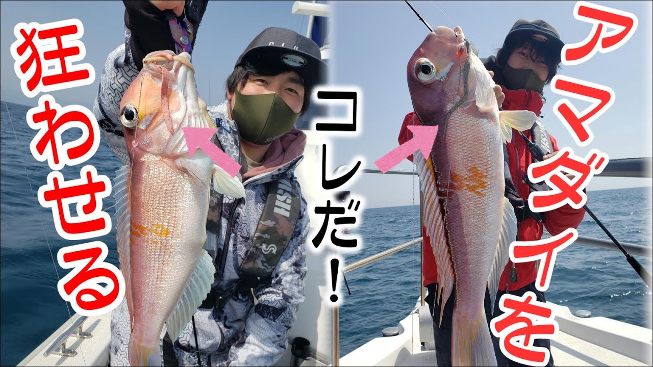 【タイラバ・アマラバ】アマダイ炸裂！あのワームがヤバすぎた！
