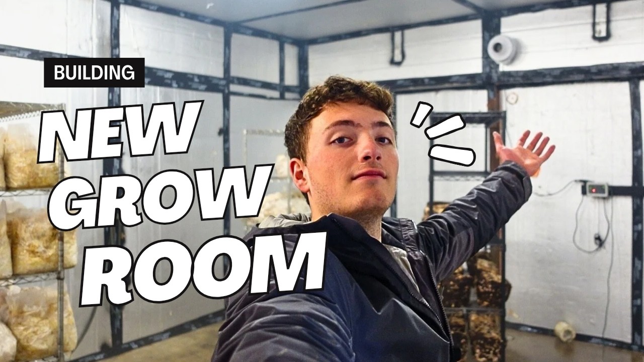 Building A Bigger Mushroom Grow Room