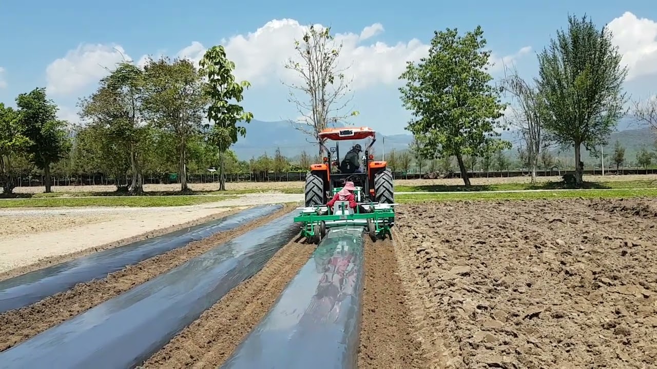 เครื่องปูพลาสติก (ฺPlastic laying machine)