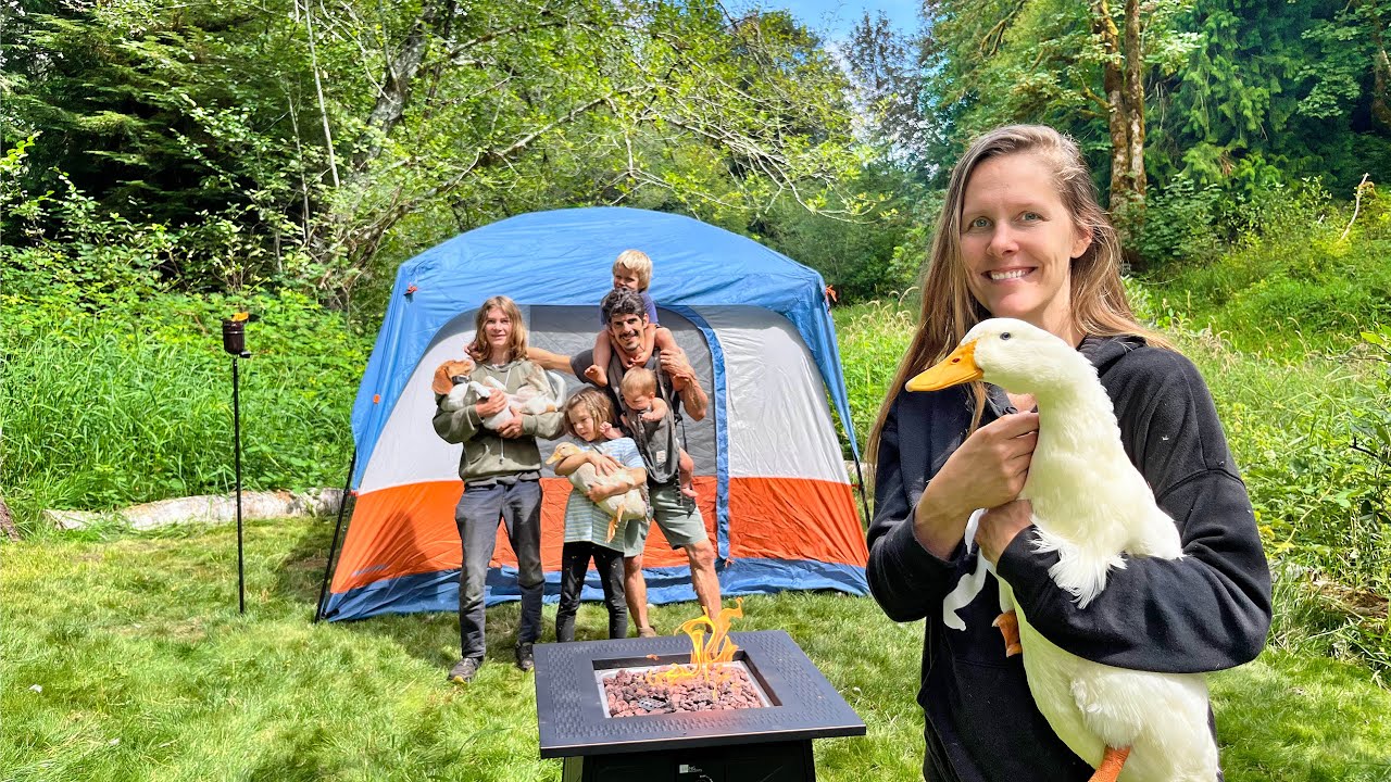 Spending Two Peaceful Days Camping in the Forest With Our Ducks