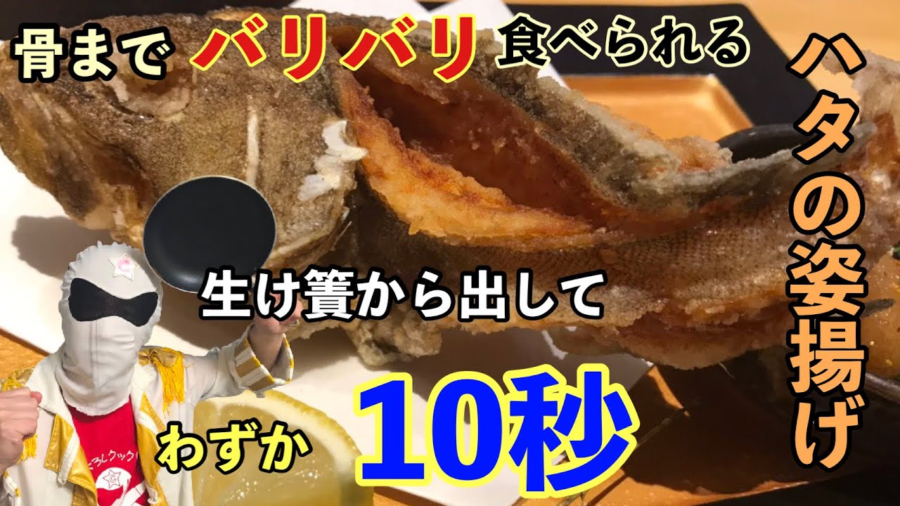 高級魚ハタを生け簀から取り出してすぐに姿揚げにしてみた