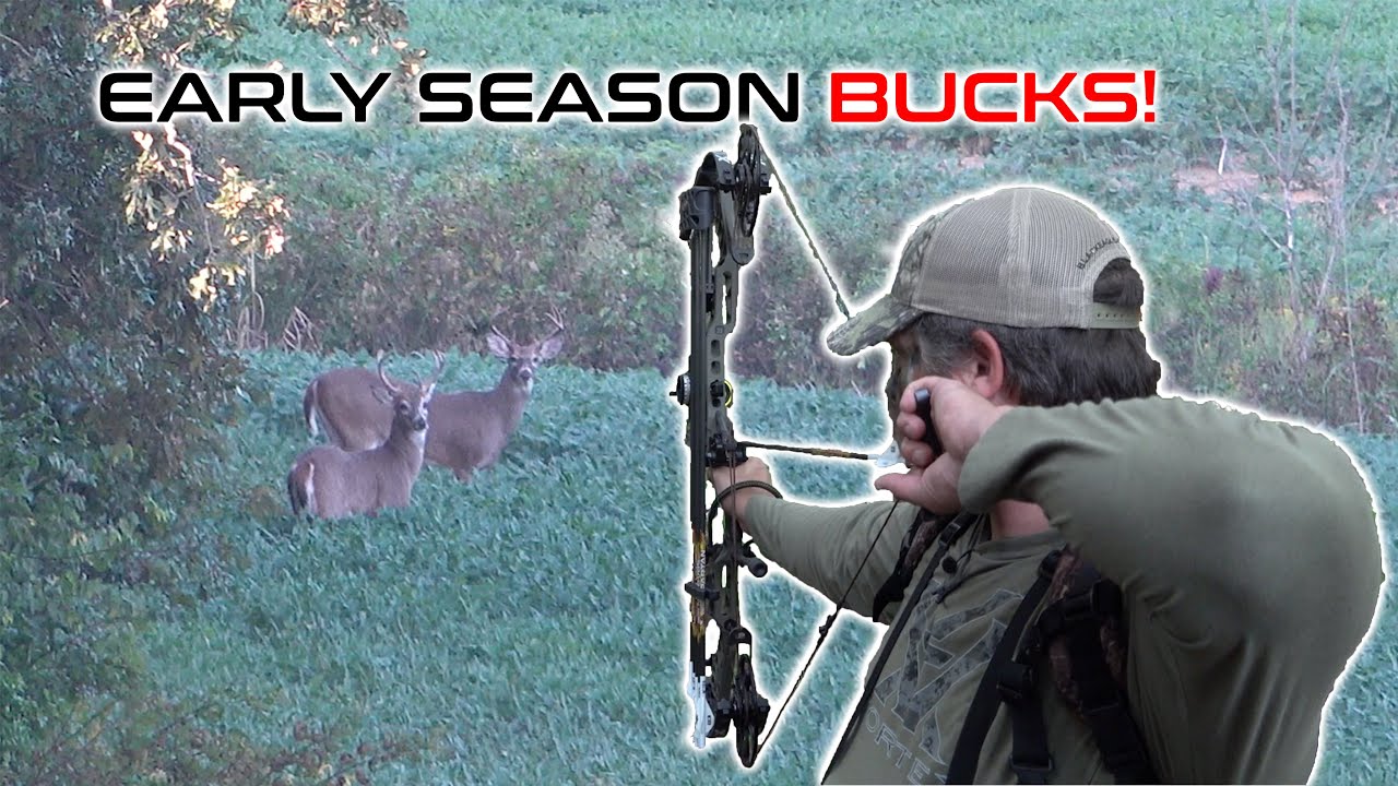 BOWHUNTING KENTUCKY PUBLIC LAND! -  Our First Deer Trip of 2022!