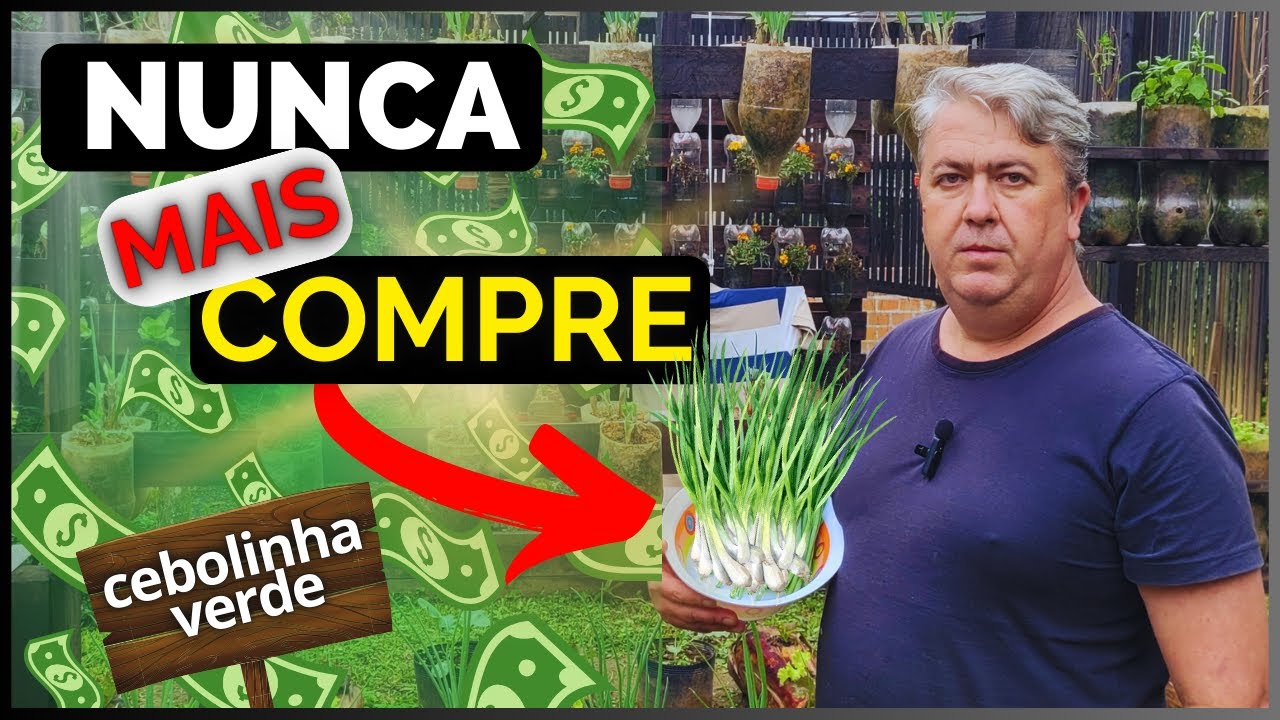 CEBOLINHA VERDE EM VARAL VERTICAL | RÁPIDO E FÁCIL