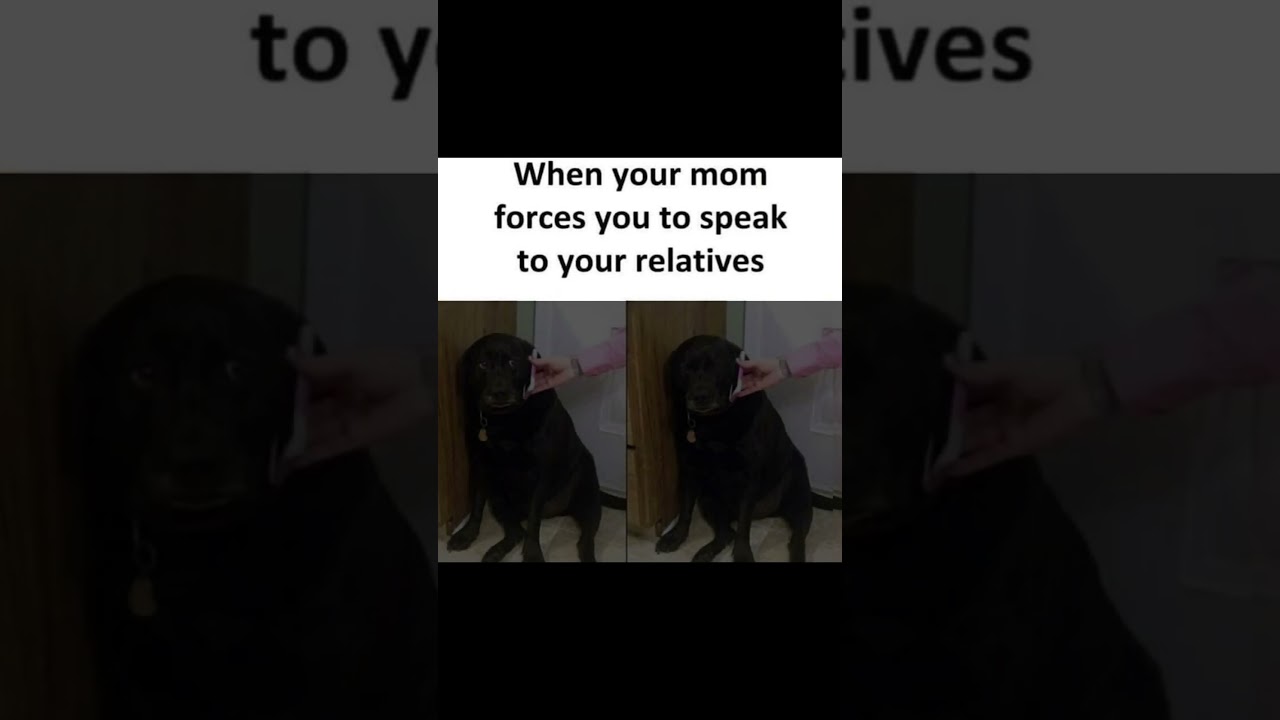 not funny memes S/15 part 20 