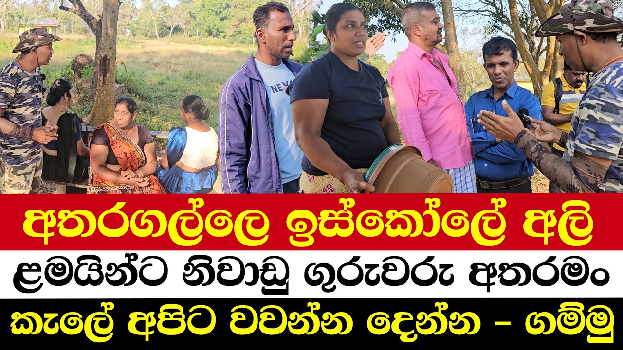 අතරගල්ලෙ ඉස්කෝලේ අලි | ළමයින්ට නිවාඩු ගුරුවරු අතරමං | කැලේ අපිට වවන්න දෙන්න - ගම්මු
