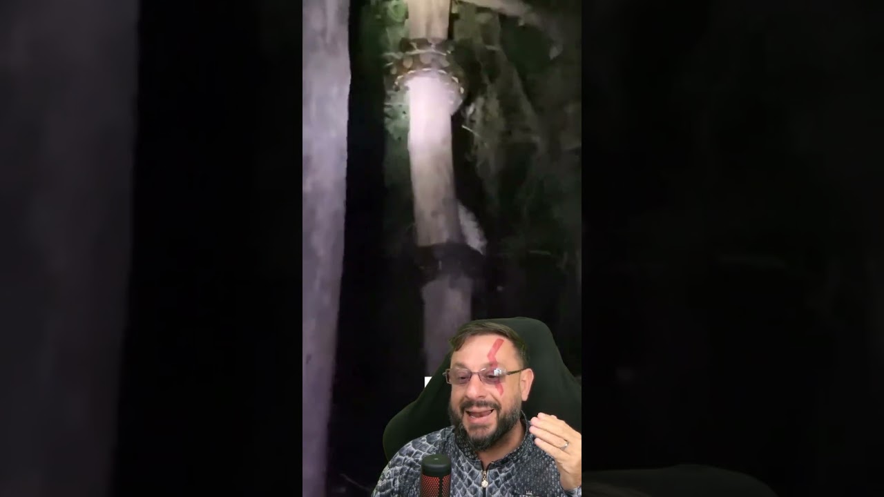 Sucuri em Porto Meira? Malayopython reticulatus #biologohenrique #animais #bichoesperto #biologo