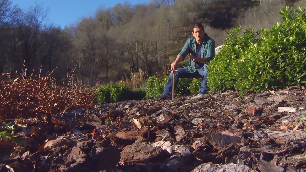 Alcolchado o mulching: tipos y variedades de acolchados - Decogarden - @Jardinatis