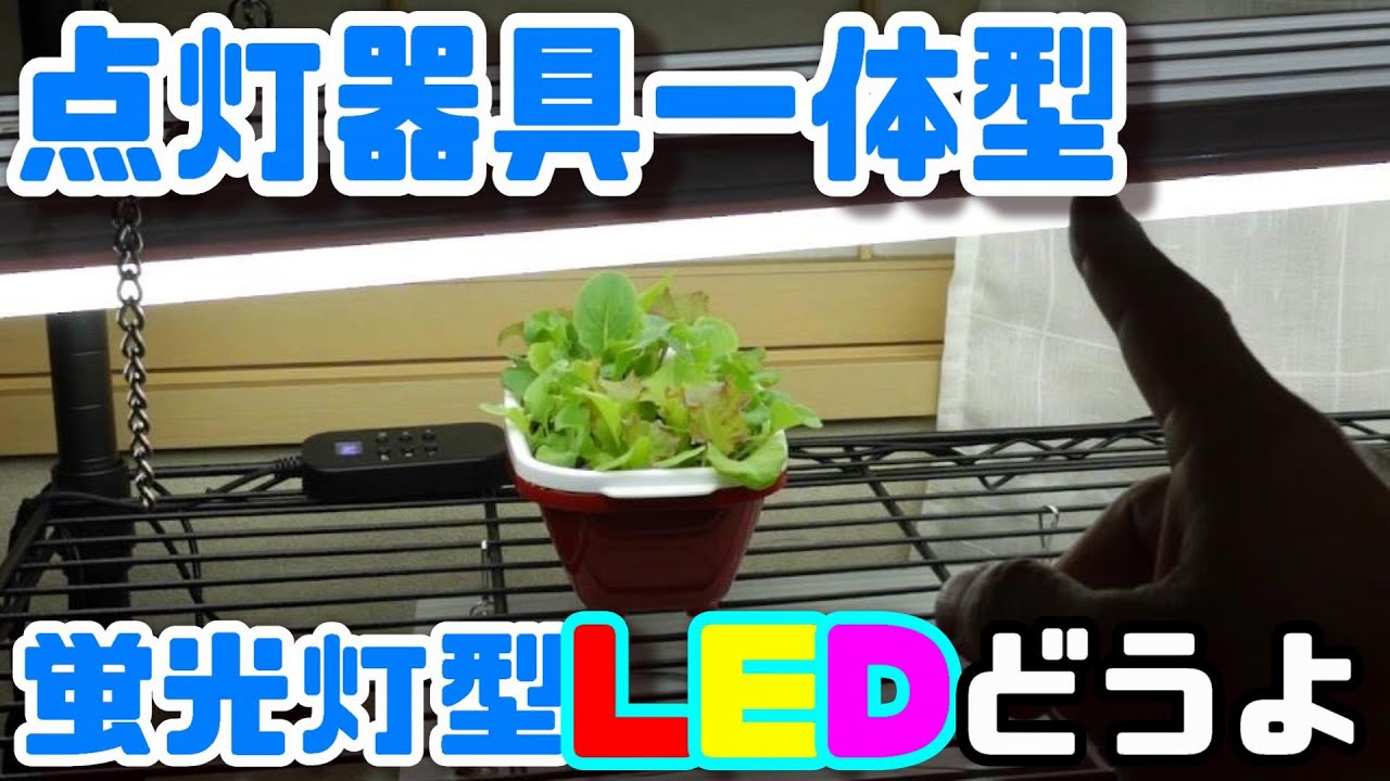 【水耕栽培大学】蛍光灯型LEDライト買って設置してみた！！安くて簡単