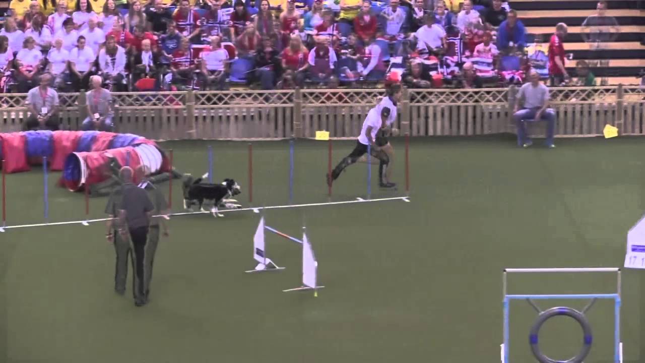 FCI WC Ind JP Simulcam